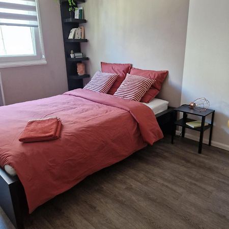 Robertsau Tres Bel Appartement Strasbourg Exterior photo