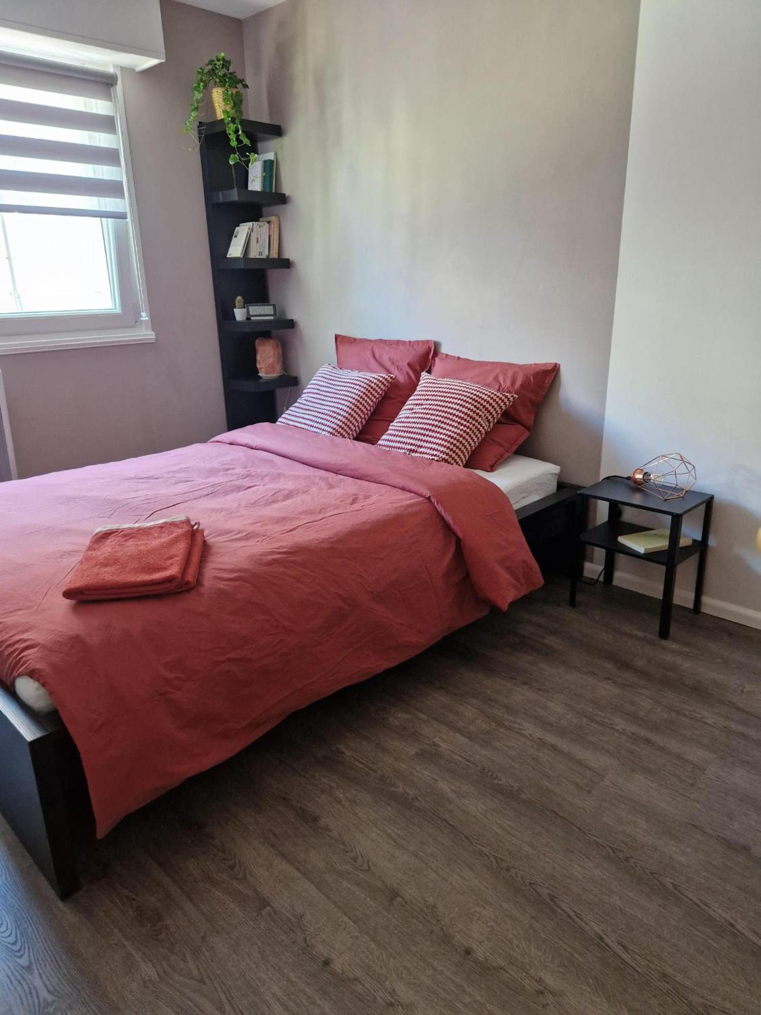 Robertsau Tres Bel Appartement Strasbourg Exterior photo